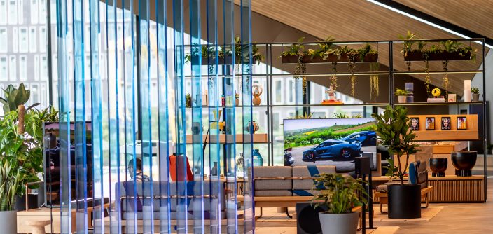 Blue-Pillar-Living-Area1.jpg