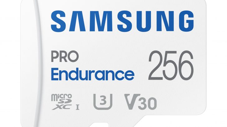 ProEnduranceMemoryCardMB-MJ256K.jpg