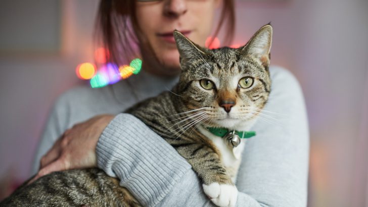 Pet-Living-2.jpg