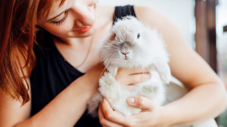 Pet-Living-4.jpg