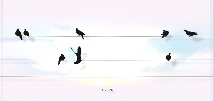 Bird-Clock.jpg