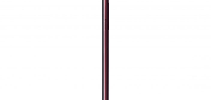 SM-G965N_003_R-Side_Burgundy-Red-min.jpg